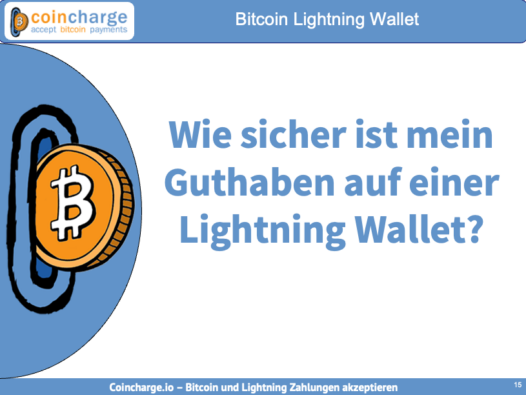 Types And Functions Of Bitcoin Lightning Wallet