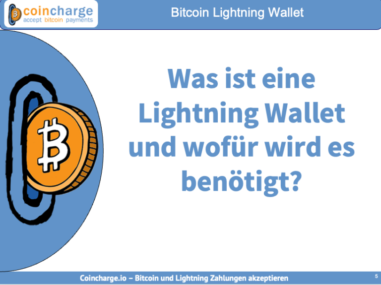 Types And Functions Of Bitcoin Lightning Wallet