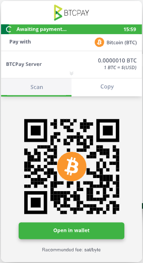 BTCPay Bezahlseite früher