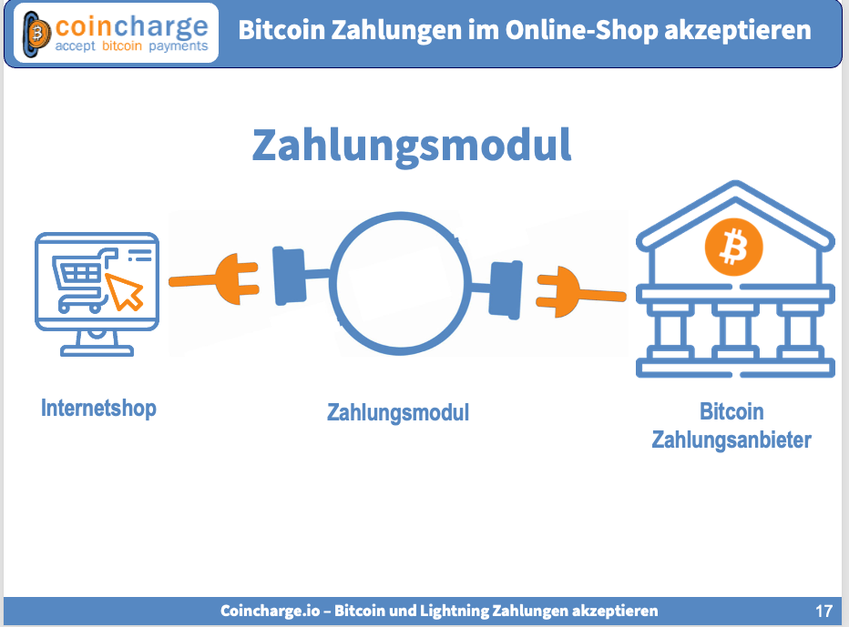 Zahlungsmodul : Payment-Plugin