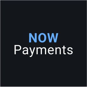 Nowpayments logo