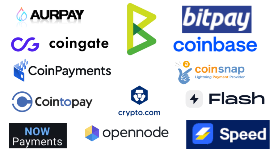 Die 10 besten Bitcoin Zahlungsanbieter