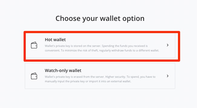 BTCPay Hot Bitcoin Wallet