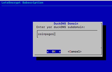 DuckDNS Subdomain