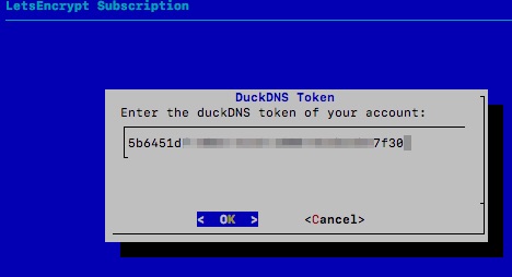 DuckDNS token