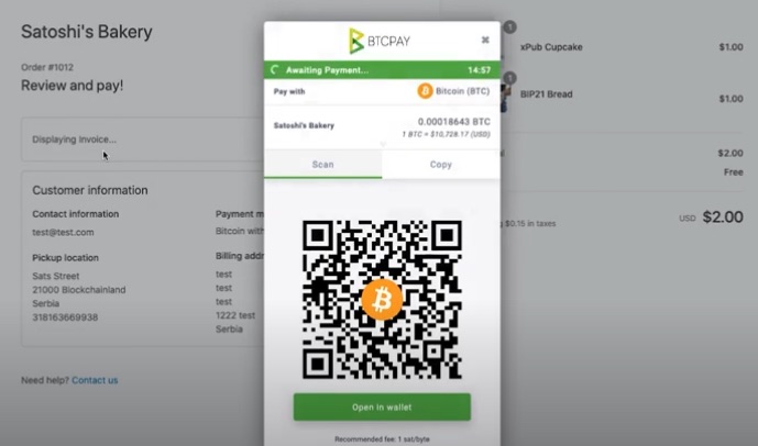 Bitcoin payment with BTCPay in Shopify store