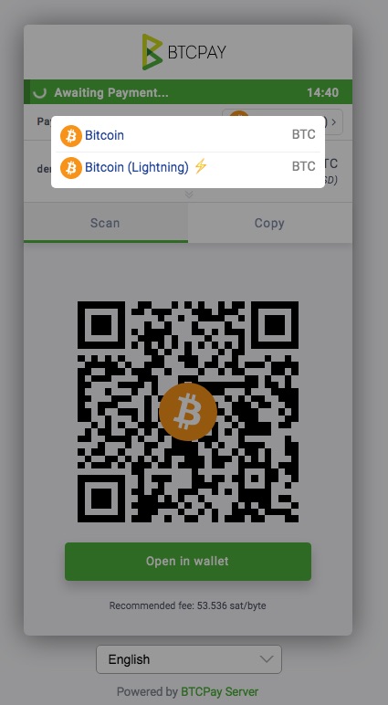 BTCPay payment window