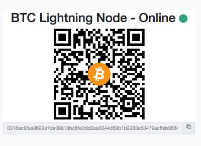 Bitcoin Lightning Node