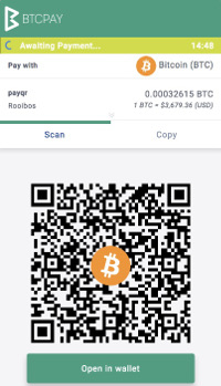 BTCPay Checkout Page