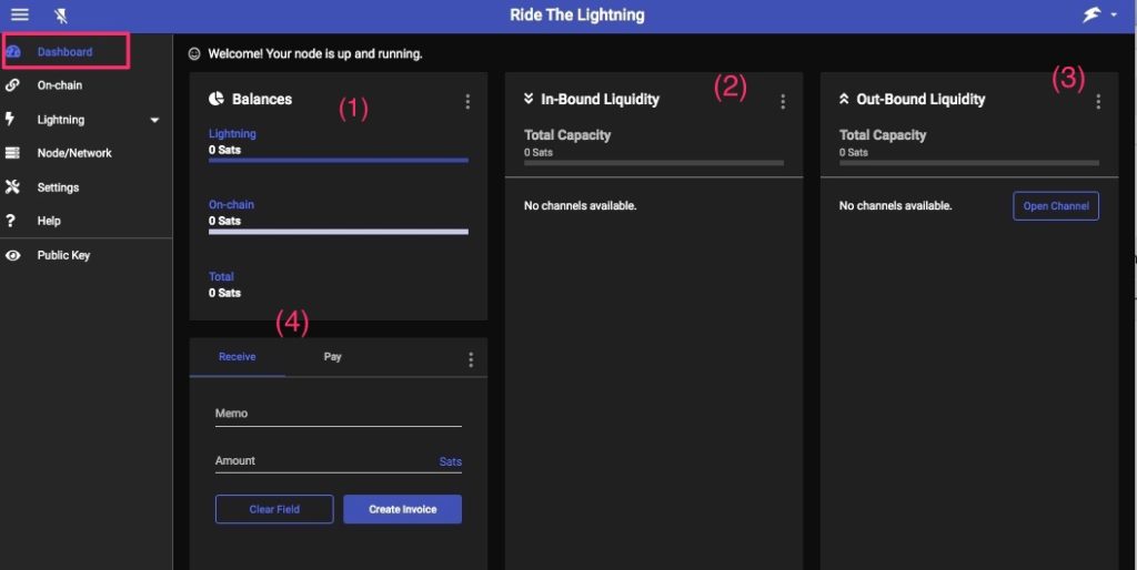 Ride the Lightning Dashboard