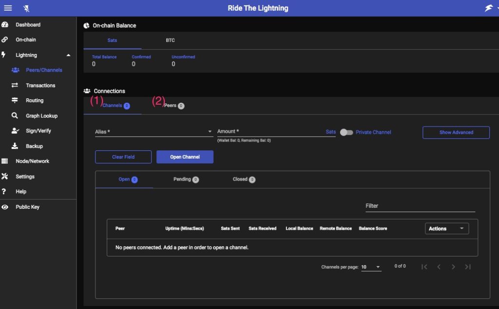 Ride the Lightning Peers and Channels