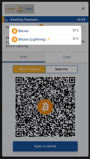 Lightning Payment Page