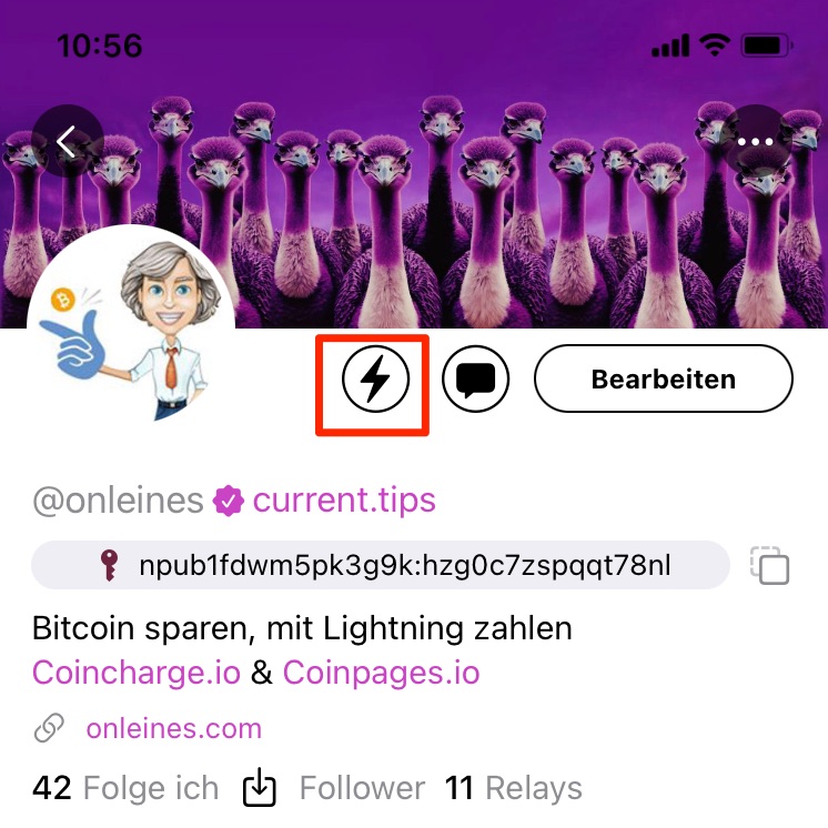 Nostr Profil mit Lightning Adresse