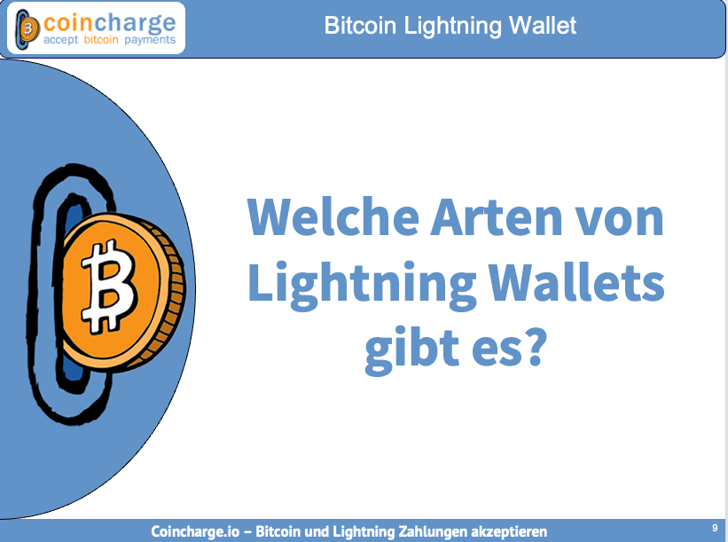 Welche Arten von Bitcoin Lightning Wallets gibt es?