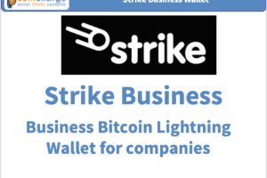 Strike Business Bitcoin Wallet for companies