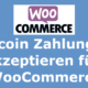 Accept Bitcoin for WooCommerce