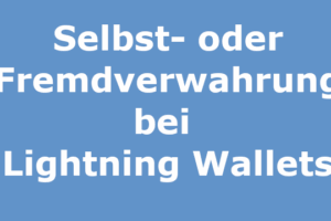 Selbstverwahrung oder Fremdverwahrung bei Bitcoin Lightning Wallets