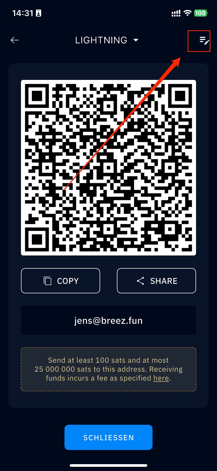 Misty Breez lightning Invoice