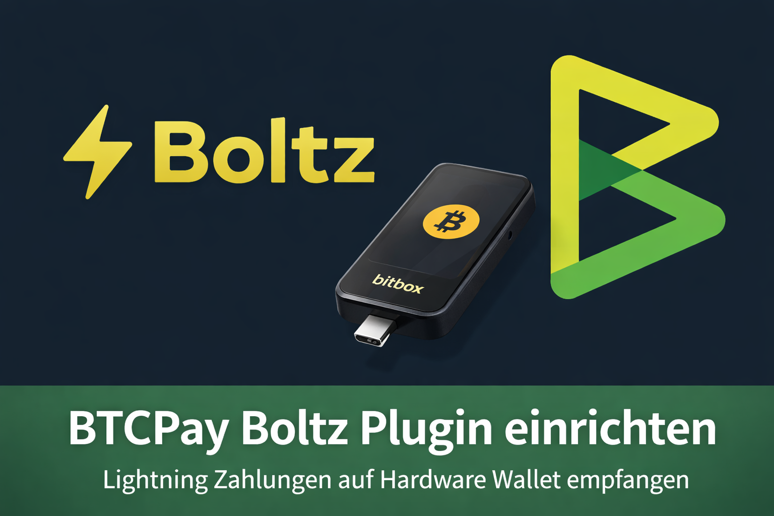 BTCPay Boltz Plugin einrichten
